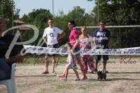 2 Esposizione canina 29.6.2014 Pico - IMG_4115